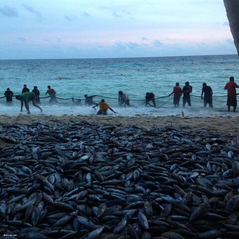 ރޯދަމަހާ ރޯއްޖާ މިފަހަރު ބުރުންޏަށް ؟