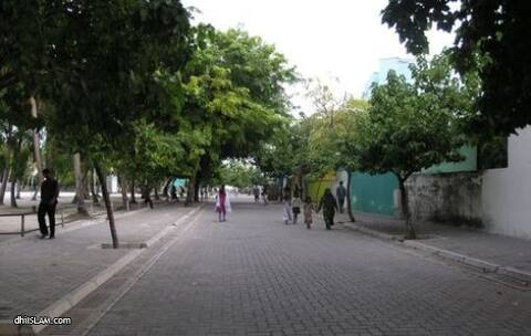 ”ރަސޫލާ ޞައްލަﷲ ޢަލައިހި ވަސައްލަމް އަށް ލޯބިކުރުން“ މިނަމުގައި މިރޭ ވިލިމާލޭގައި ދަރުސް އެއް ބާއްވަނީ