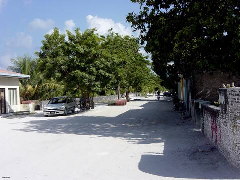 ހިތަދޫ ސެލޫނަކުން ވައްކަންކުރަން މަސައްކަތް ކުރި މީހަކު އަތުލައިގެންފި