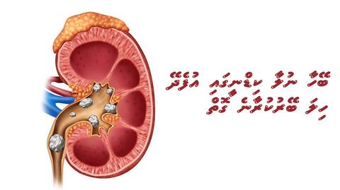ބޭހާ ނުލާ ކިޑްނީގައި އުފެދޭ ހިލަ ބޭރުކުރާނެ ގޮތް