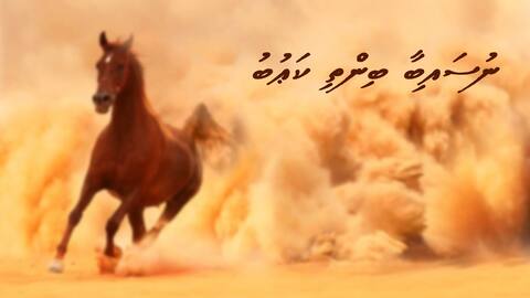 ނުސައިބާ ބިންތި ކަޢުބު (1)