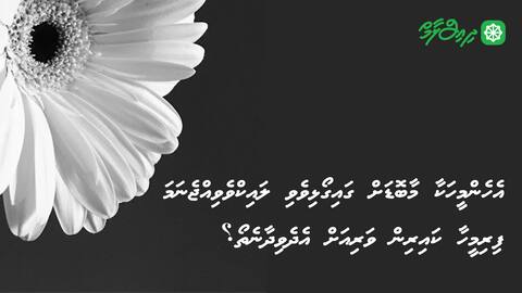 އެހެންމީހަކާ މާބޮޑަށް ގައިގޯޅިވެވި ލައިކްވެވިއްޖެނަމަ ފިރިމީހާ ކައިރިން ވަރިއަށް އެދެވިދާނެތޯ؟