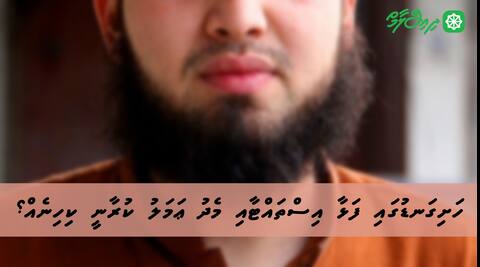 ހަށިގަނޑުގައި ފަޅާ އިސްތައްޓާއި މެދު ޢަމަލު ކުރާނީ ކިހިނެއް؟