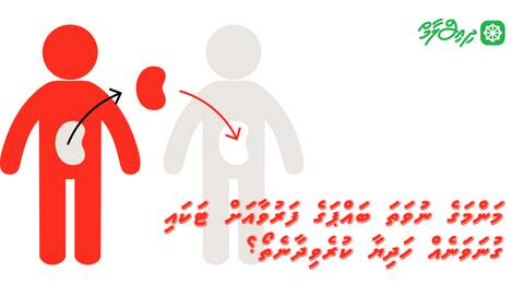 މަންމަގެ ނުވަތަ ބައްޕަގެ ފަރުވާ އަށް ޓަކައި ގުނަވަނެއް ހަދިޔާ ކުރެވިދާނެތޯ؟