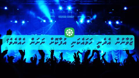 ޒުވާނުން އެދެނީ ހަމައެކަނި އުފާކޮށް ނަށަން ހެއްޔެވެ؟