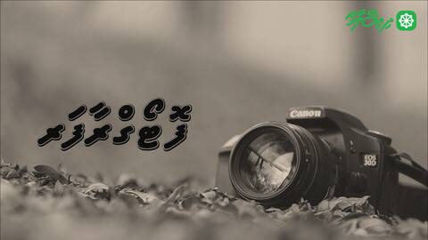 ވާހަކަ: ފޮޓޯގްރާފަރ