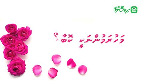 މަހުރަމުންނަކީ ކޮބާ؟