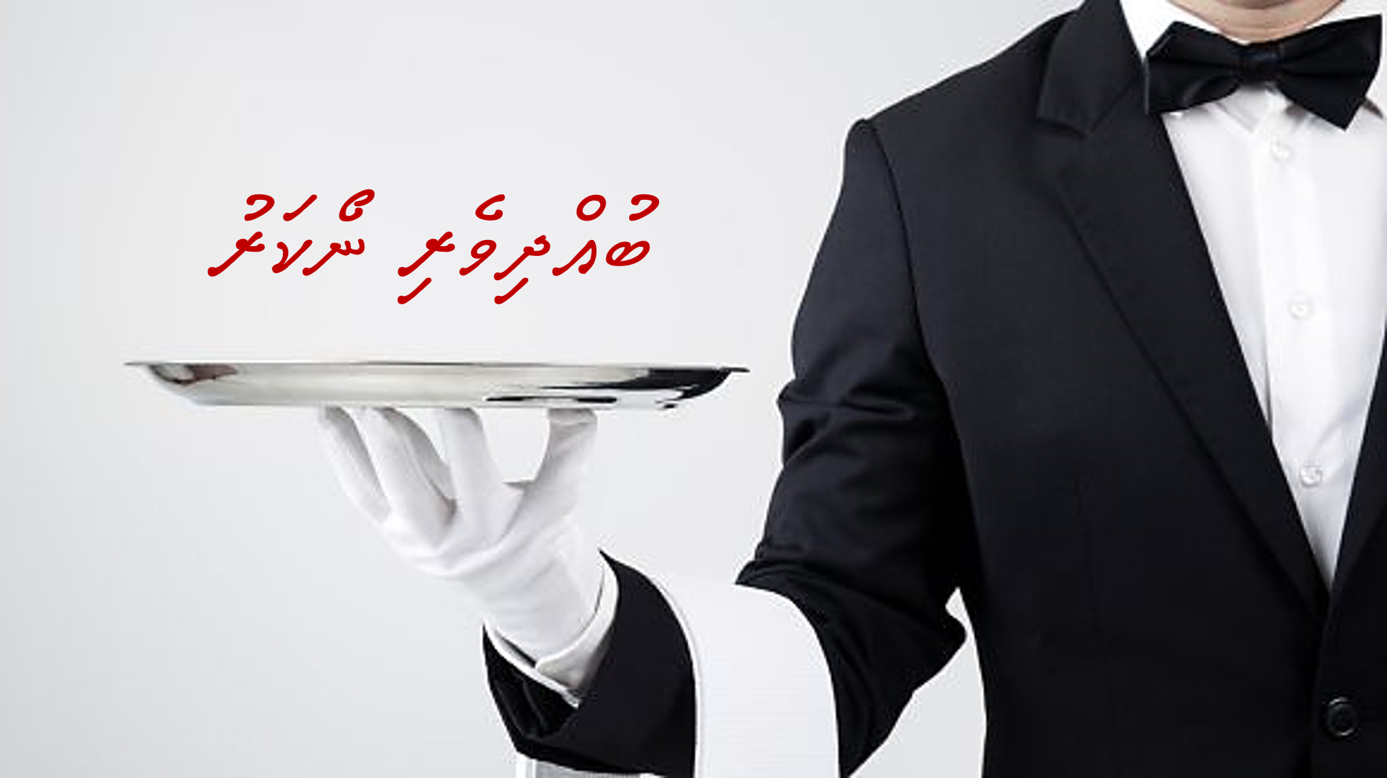 ބުއްދިވެރި ނޯކަރު
